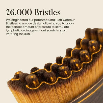 Lymphatic Contour Face Brush